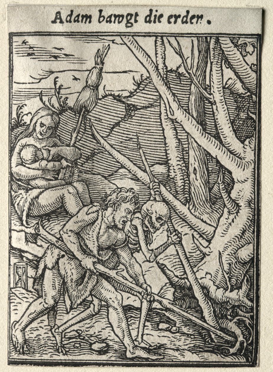 Dance of Death: Adam Tilling the Ground. tekijältä Hans Holbein