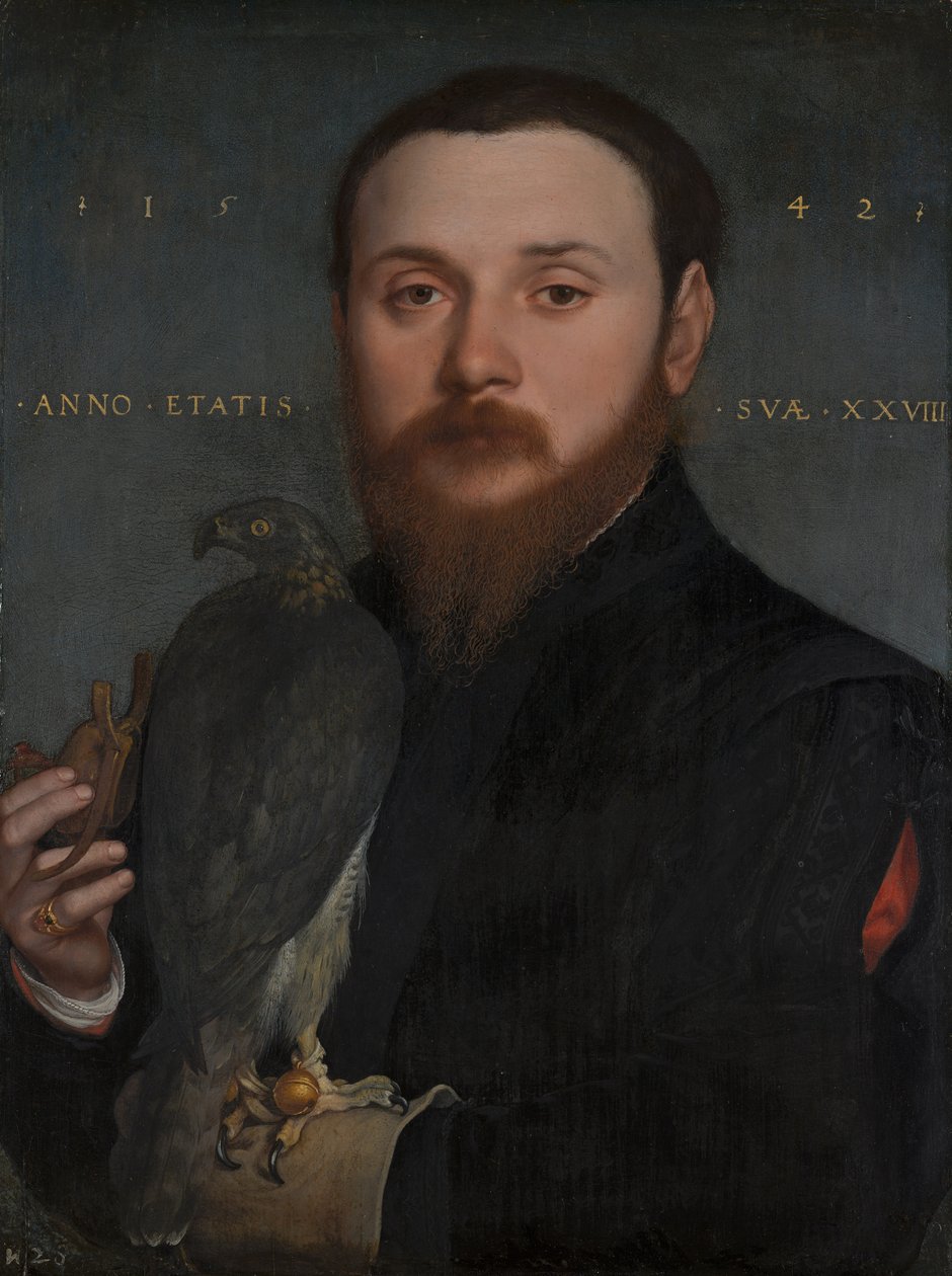 Falconer -muotokuva tekijältä Hans Holbein