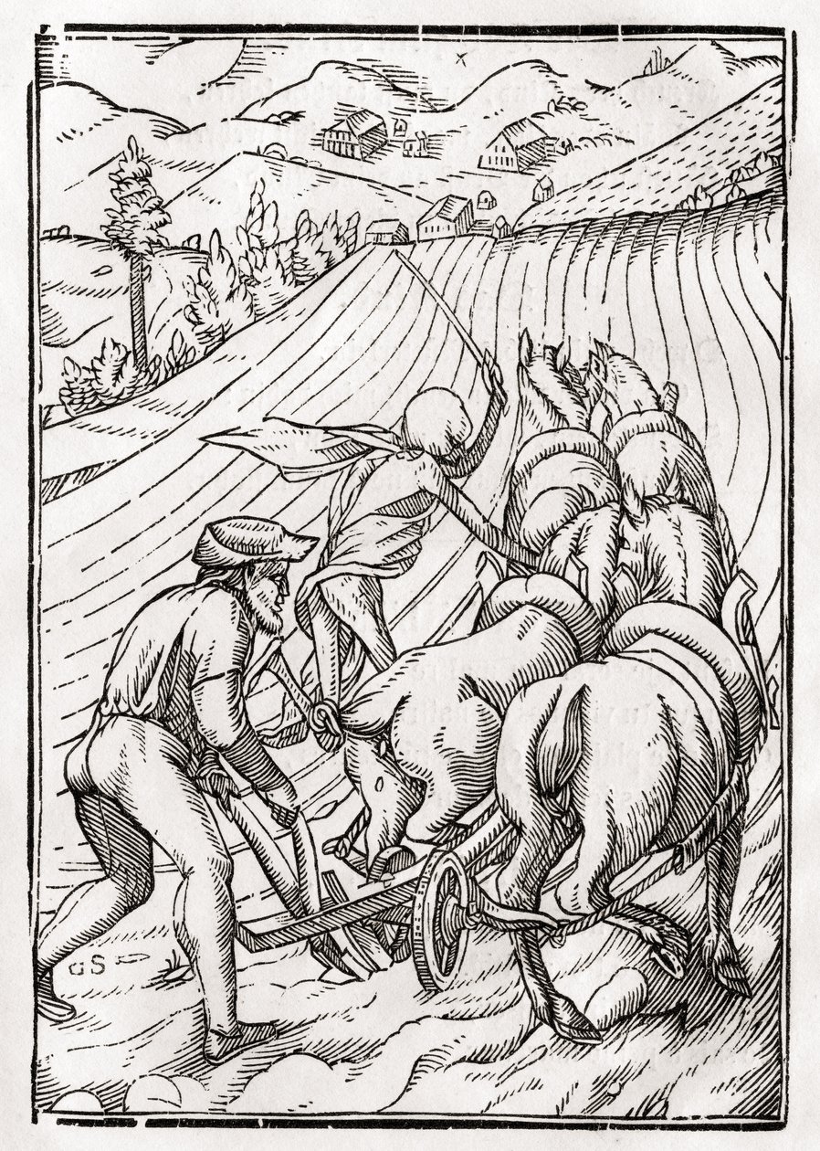 Kuolema tulee maanviljelijälle tai miehelle, kaiverrus Georg Scharffenberg, "Der Todten Tanz", julkaistu Basel, 1843 tekijältä Hans Holbein der Jüngere