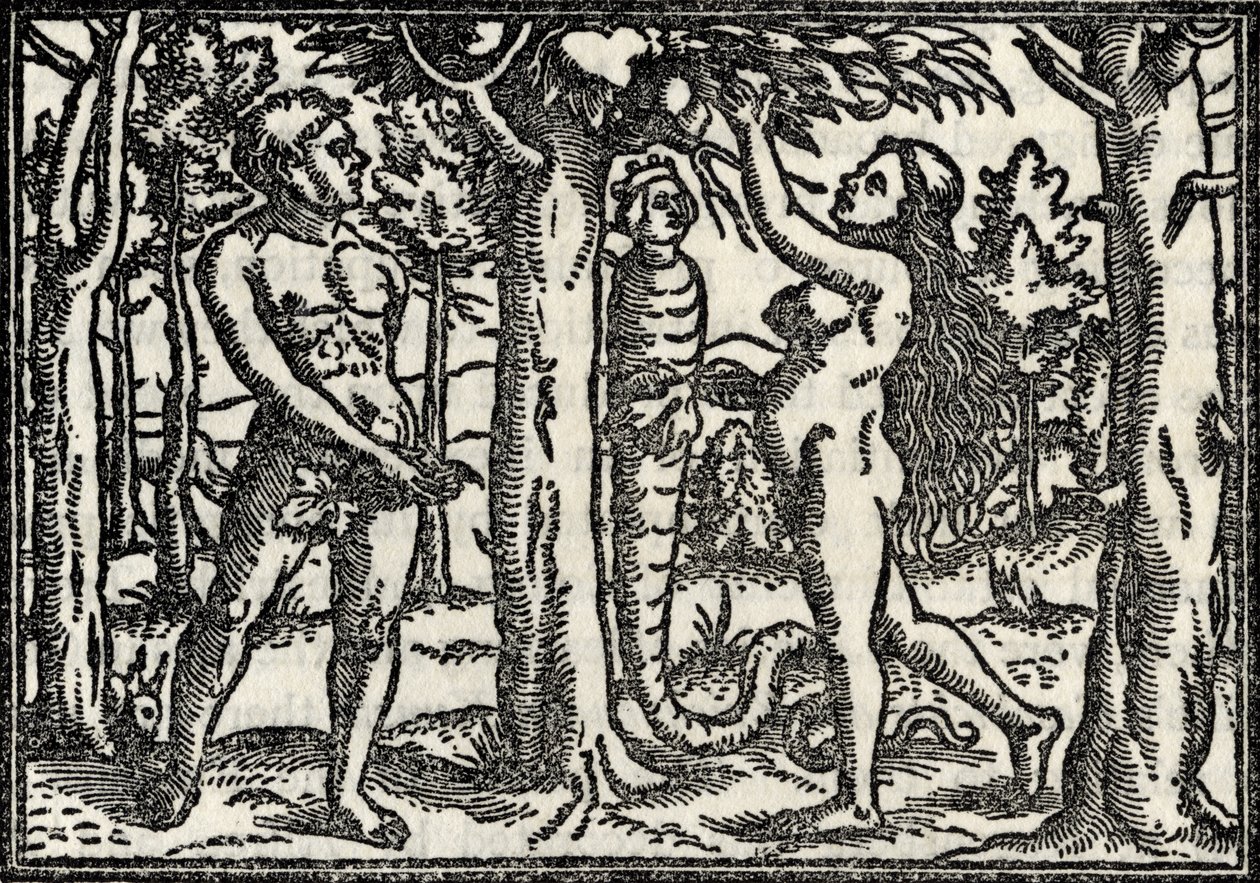 Aadamin ja Eevan lankeemus, Richard Fisherin teoksesta Kaiverrusten, etsausten ja puupiirrosten kokoelma, julkaistu 1879 tekijältä Hans Holbein der Jüngere