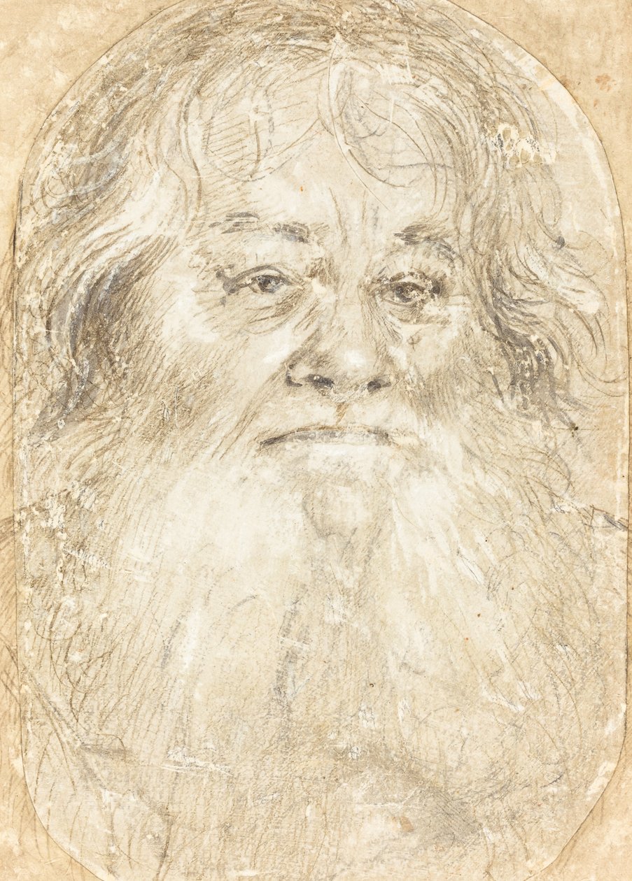 Tutkimus parrakkaasta miehestä [verso] tekijältä Hans Holbein the Elder