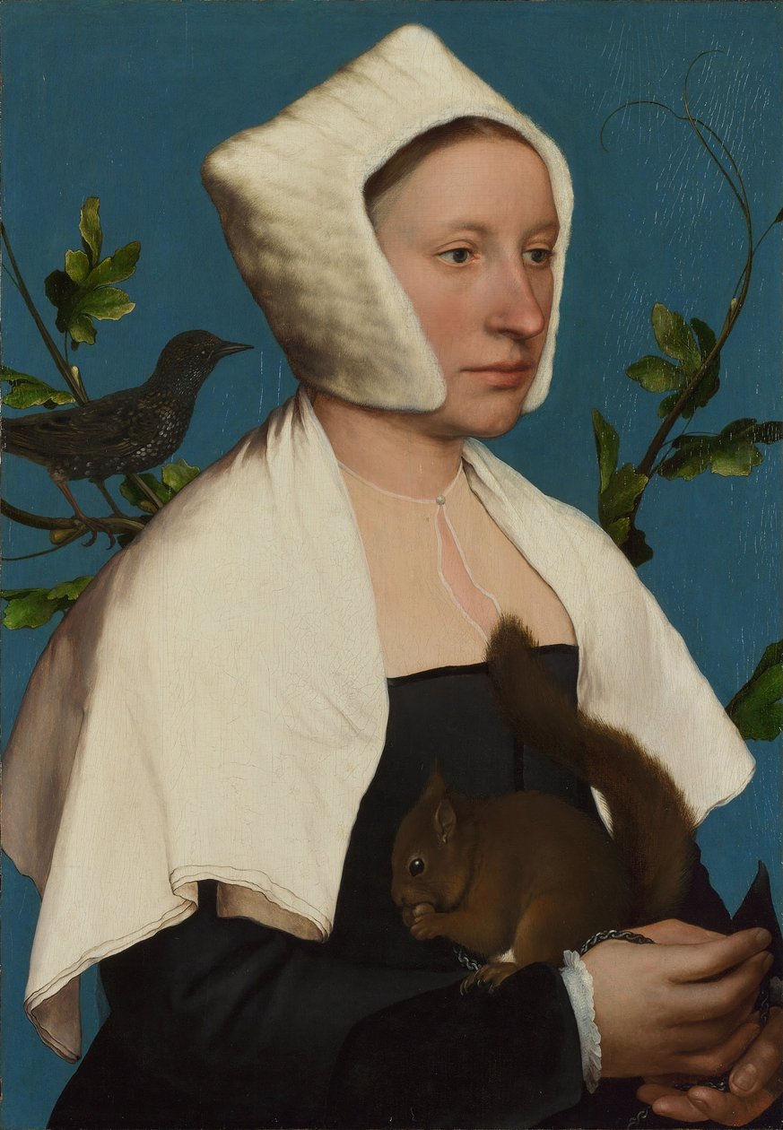 Nainen oravan ja kottaraisen kanssa Anne Lovell, c. 1527 tekijältä Hans Holbein der Jüngere