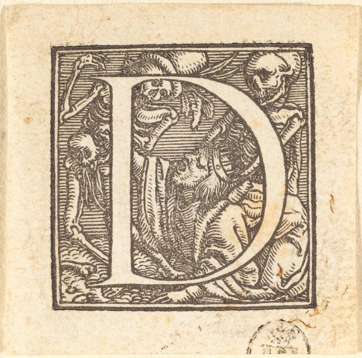 Kirjain D. tekijältä Hans Holbein der Jüngere