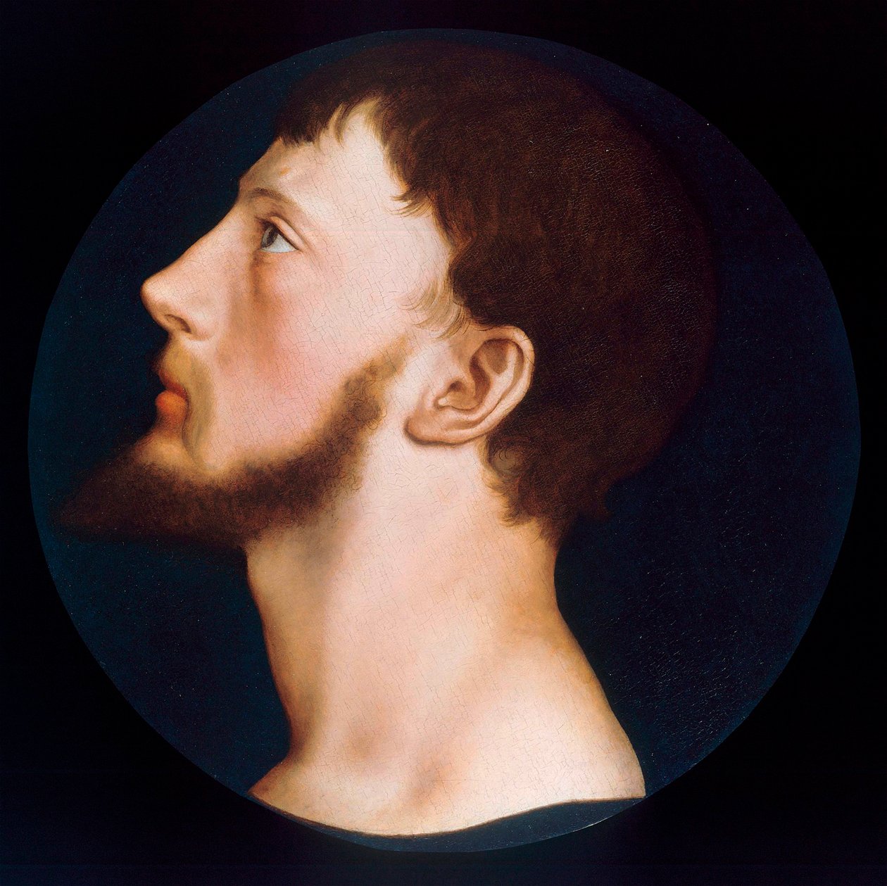 "" Thomas Wyatt nuoremman (1521-1554) muotokuva niin sanotun Wyatt Revolt -maalauksen johtajasta Hans Holbein nuoremman (1497-1543) noin 1541 Yksityinen kokoelma tekijältä Hans Holbein der Jüngere