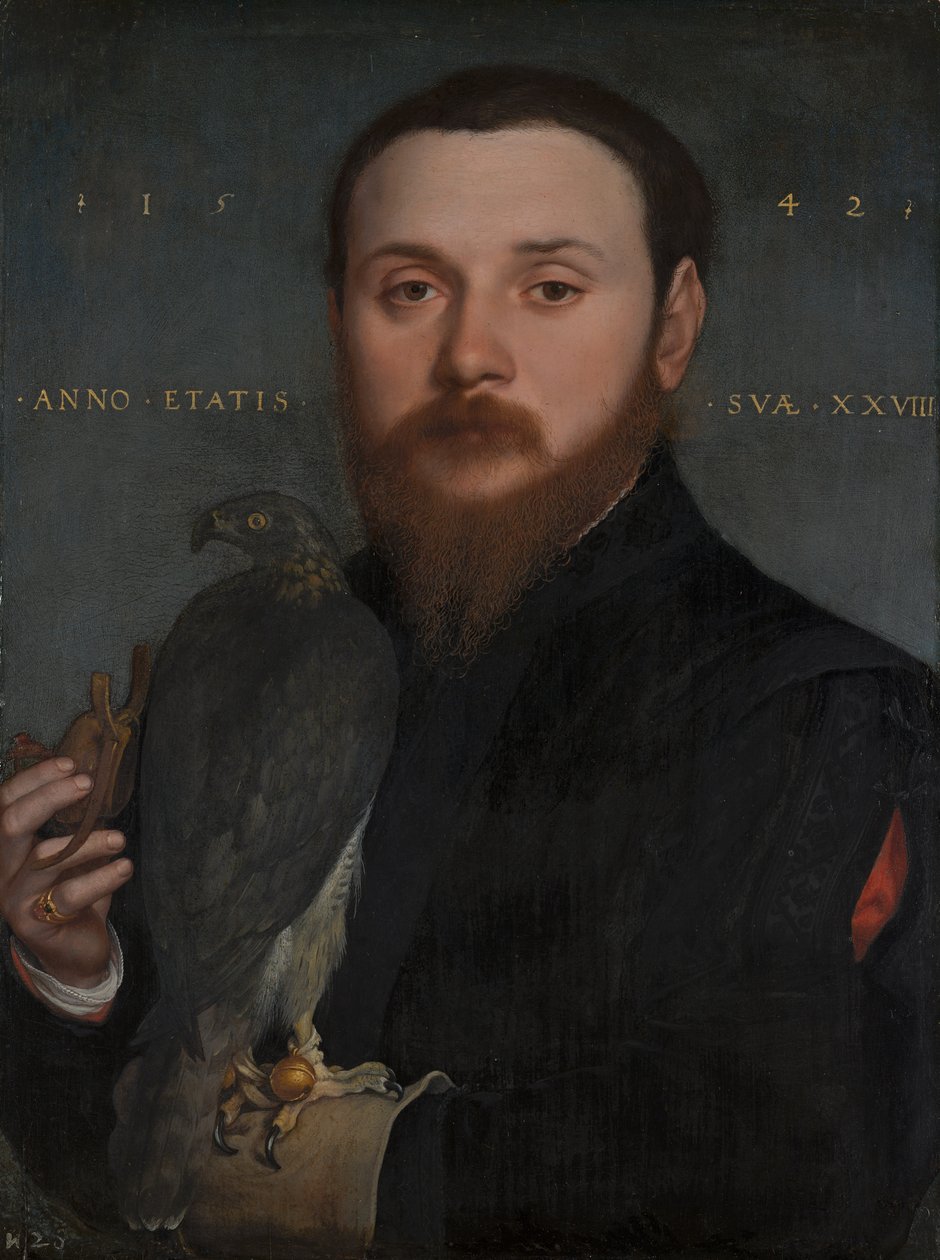Muotokuva aatelismiehestä haukan kanssa, 1542 tekijältä Hans Holbein der Jüngere
