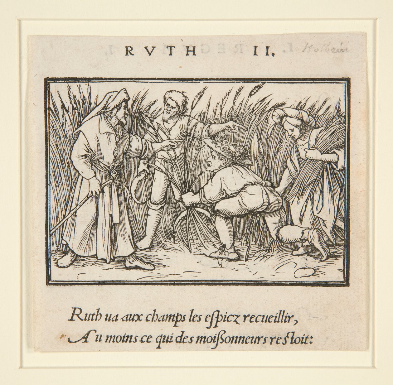 Ruth Cleaning in the Fields of Booz (recto); Hanna ja Elkanah (verso) tekijältä Hans Holbein der Jüngere