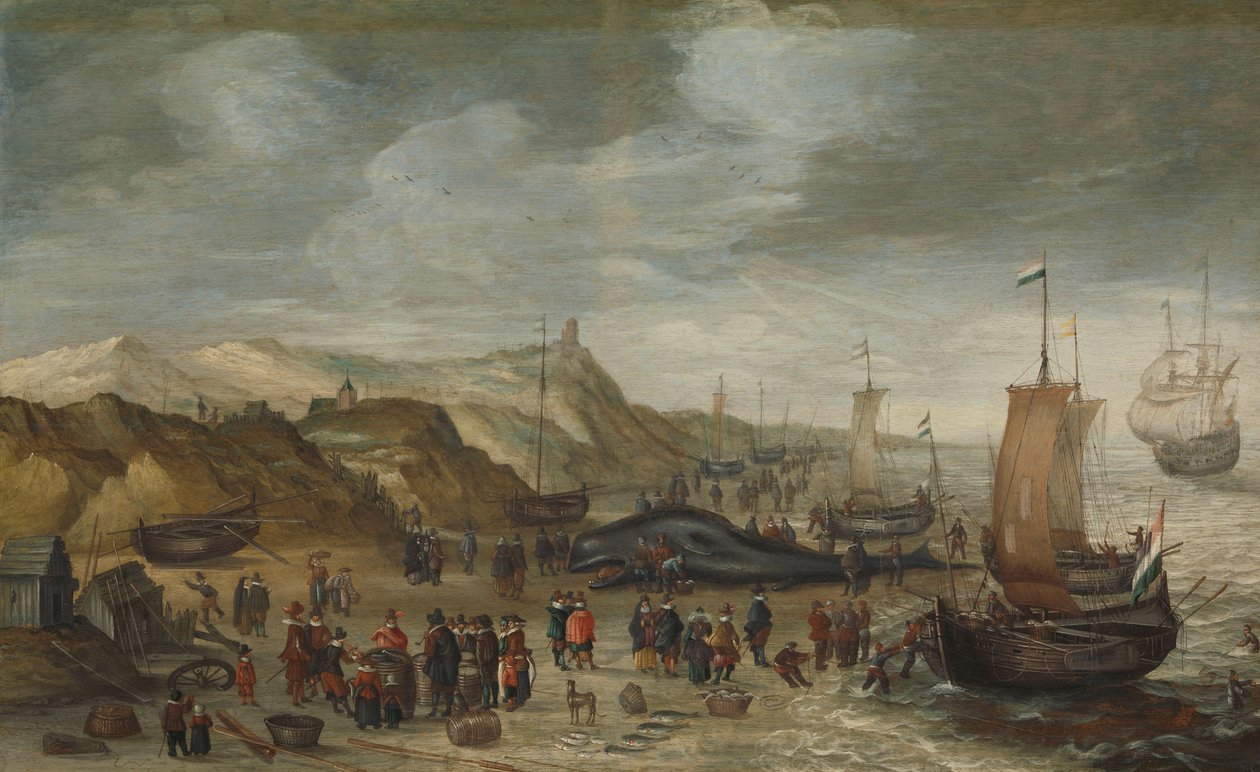 Kaskelotti huuhtoutui Noordwijkin rannalle 28. joulukuuta 1614 tekijältä Hans I Savery