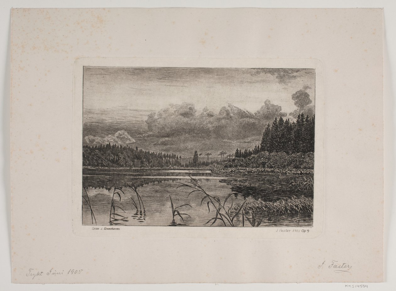 Järvi kuusimetsässä tekijältä Hans Julius Fæster