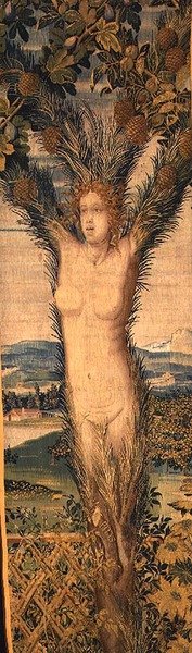 Yksi kuvakudosparista, jotka kuvaavat Daphnea ja Pitysiä, 1500-luvun puoliväli (kuvakudos) tekijältä Hans Karcher