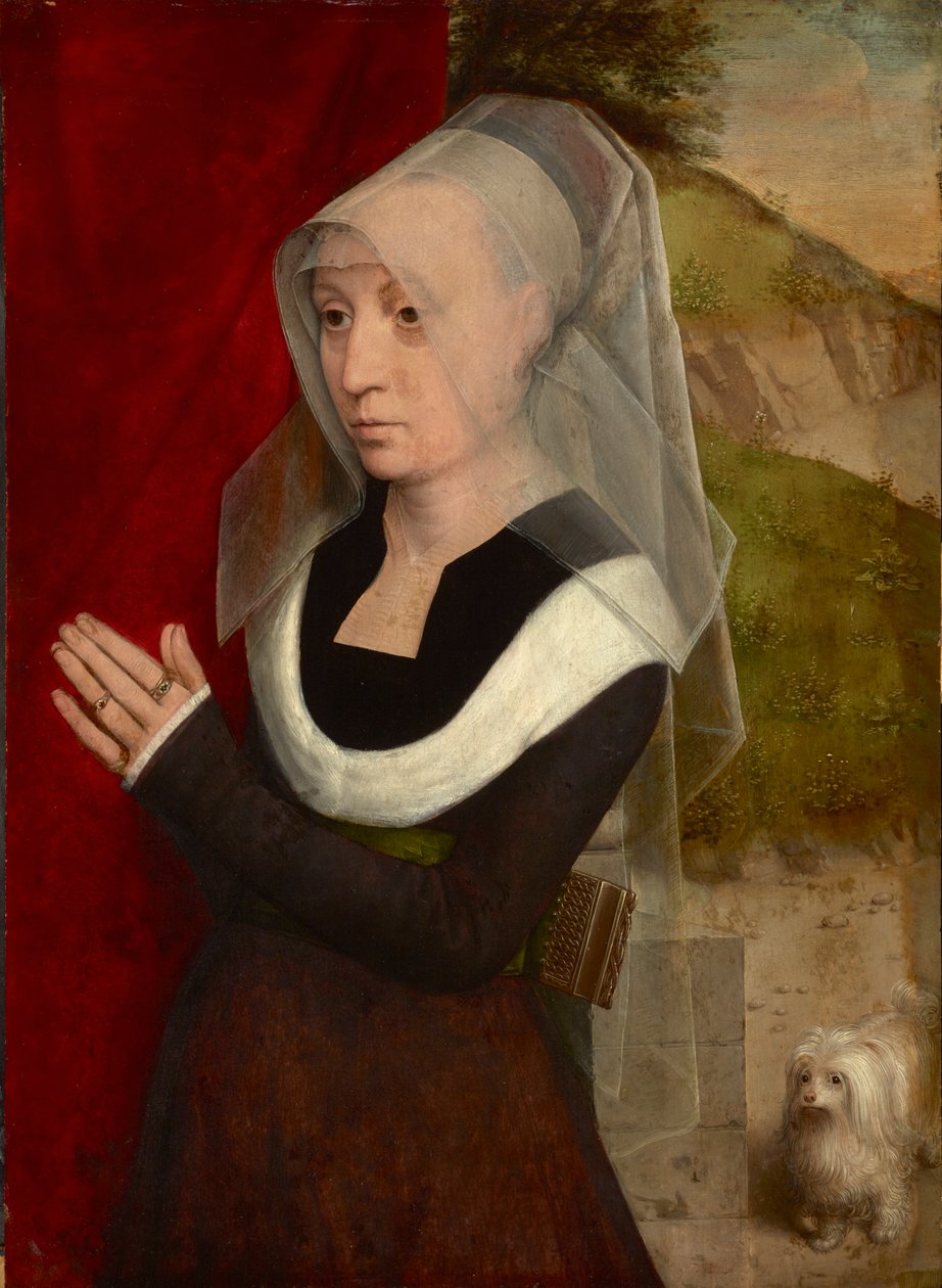 Femme en priere avec son chien - Rukoileva nainen koiransa kanssa, kirjoittanut Memling, Hans (1433/40-1494). Öljy puulle tekijältä Hans Memling