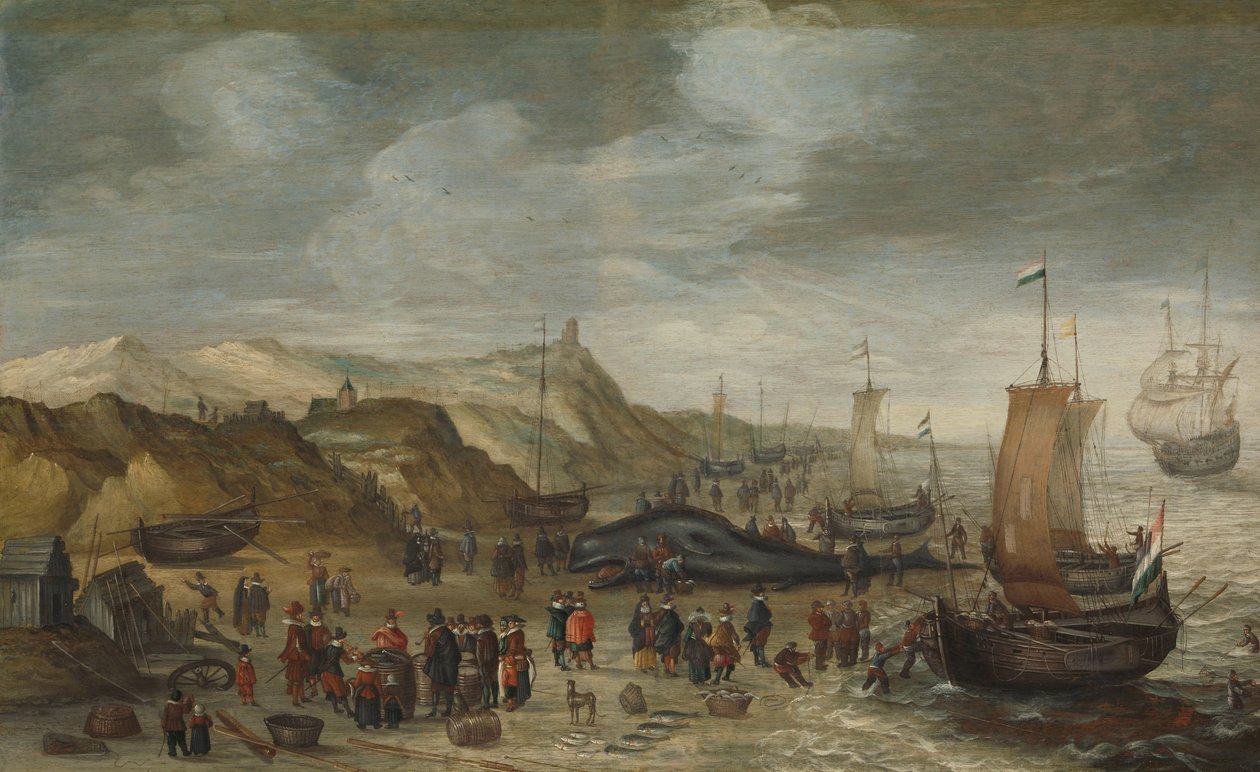 Kaskelovalas huuhtoutunut rannalle Noordwijkissa 28. joulukuuta 1614 tekijältä Hans Savery (I) (attributed to)
