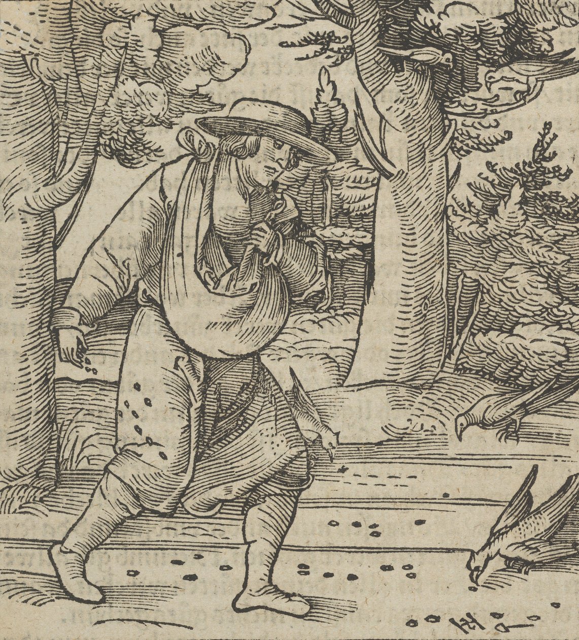 Linnut syövät kylväjän siemeniä, Hymmelwagen auff dem, wer wol Leben..., 1517. tekijältä Hans Schäufelein the Elder