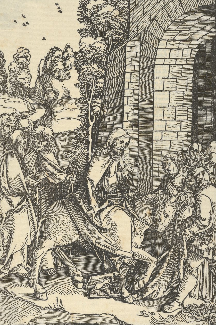 Pääsy Jerusalemiin, Herramme Jeesuksen Kristuksen kärsimyksen peilistä, 1507. tekijältä Hans Schäufelein the Elder