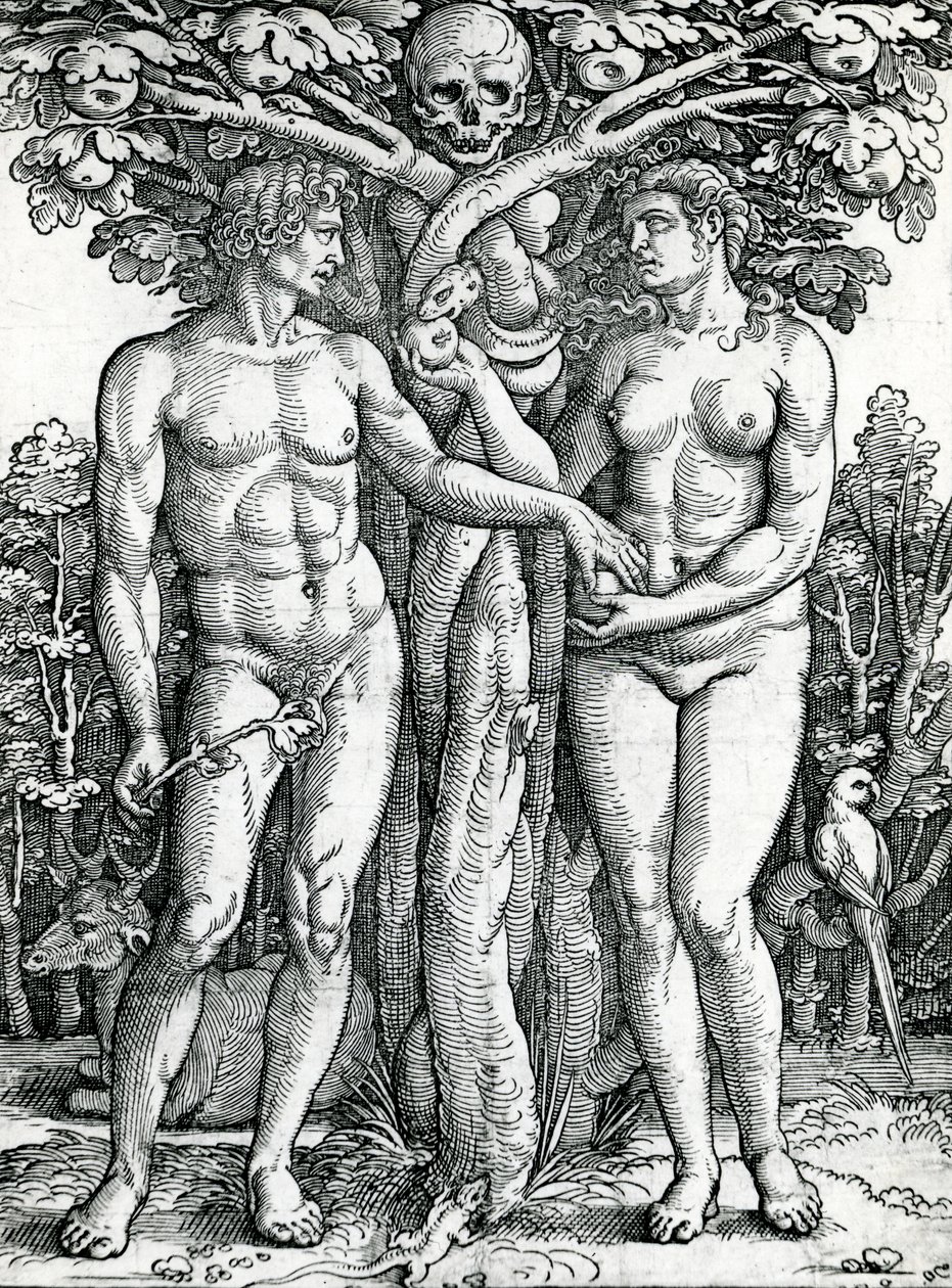 Aadamin ja Eevan lankeemus, n. 1525-27 (puupiirros) tekijältä Hans Sebald Beham