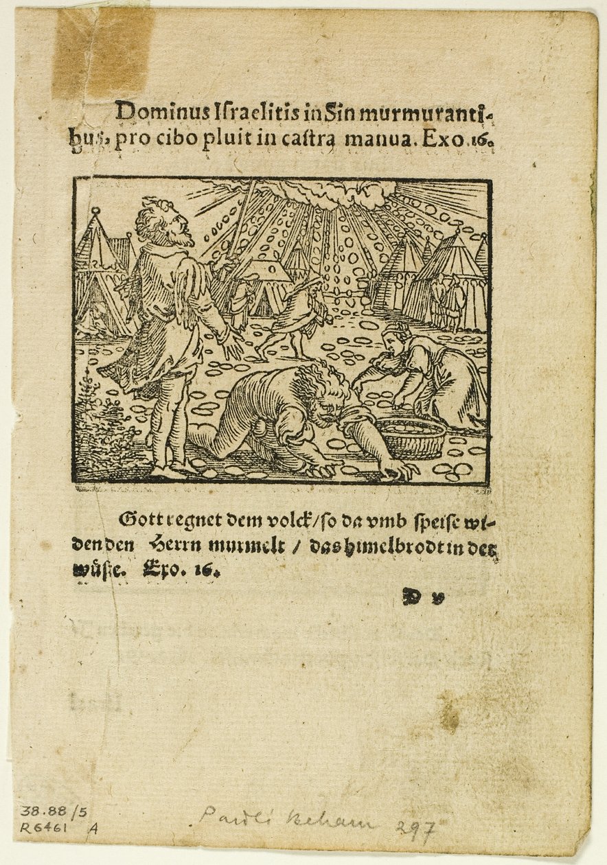 The Rain of Manna from Biblische Historien Künstlich fürgemalt, plate five from Puupiirrokset XVI vuosisadan kirjoista. tekijältä Hans Sebald Beham