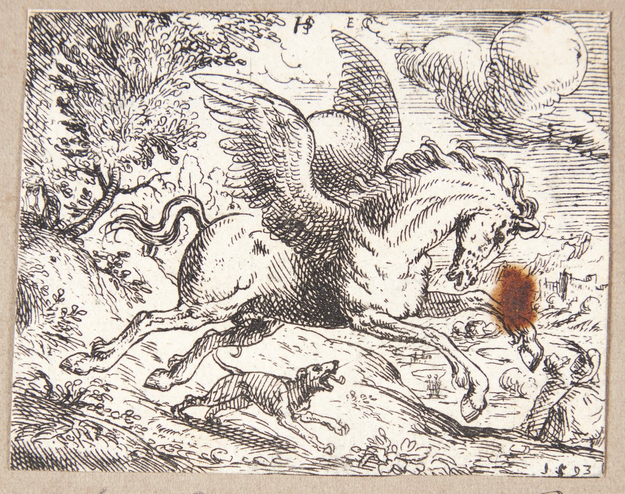 Pegasus tekijältä Hans Strohmayer