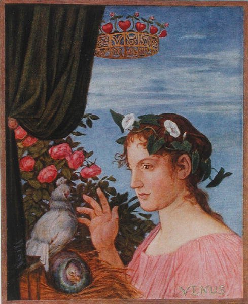 Venus, kuvitus 