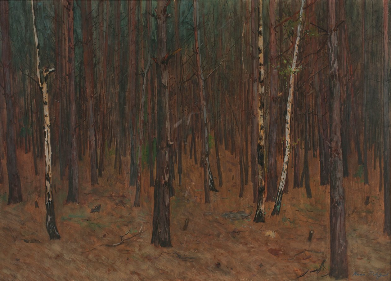 Waldinneres tekijältä Hans Tichy