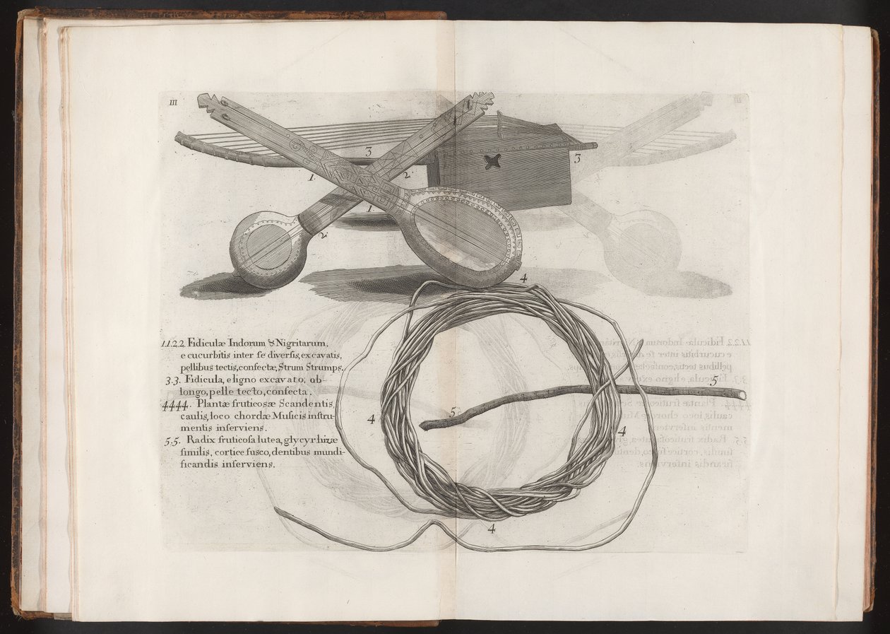 Kuvitus matkasta Maderan saarelle, Barbados...Vol.2, 1815 tekijältä Hans after Sloane
