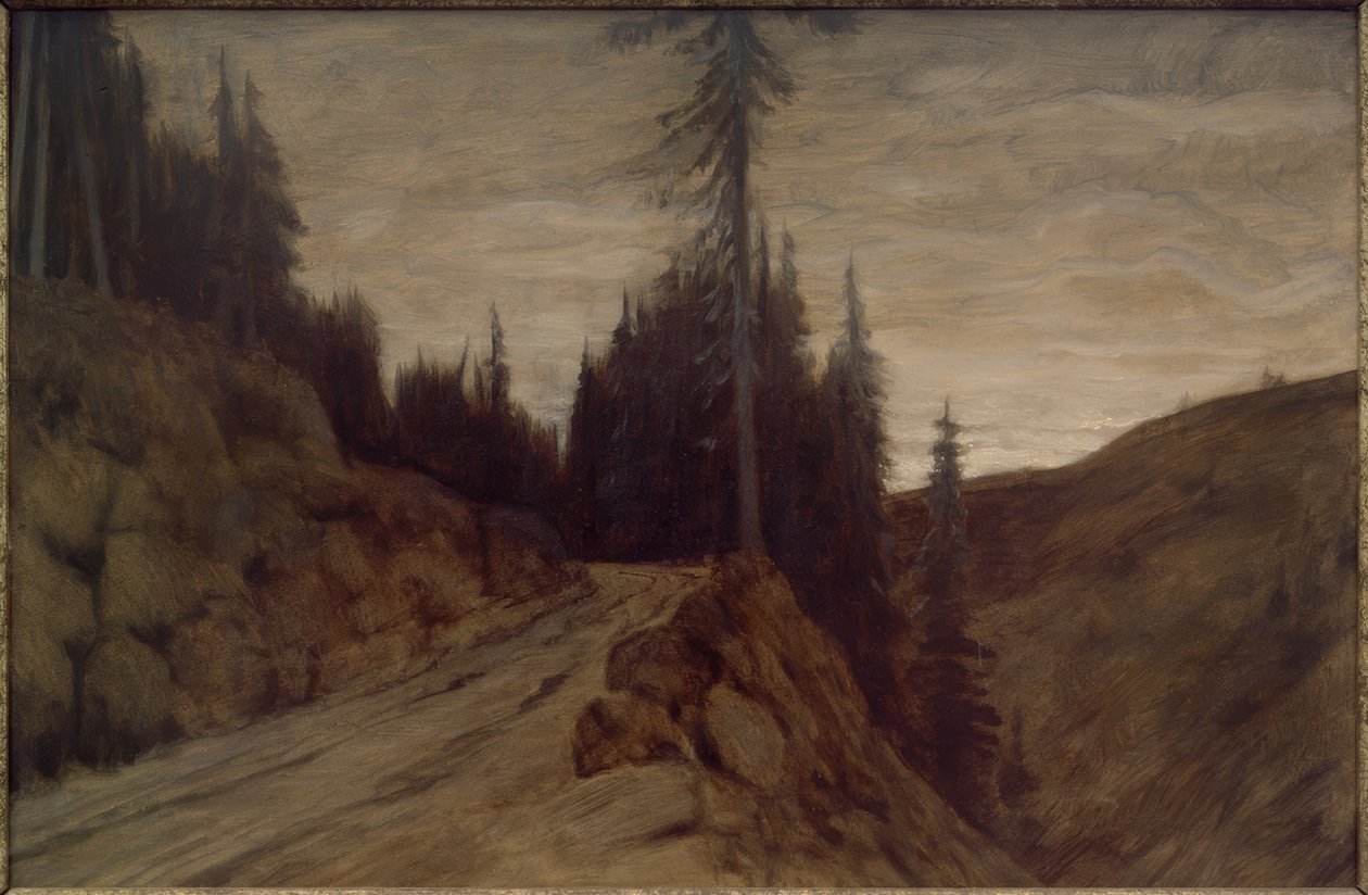 Kuusia hämärässä tekijältä Hans am Ende