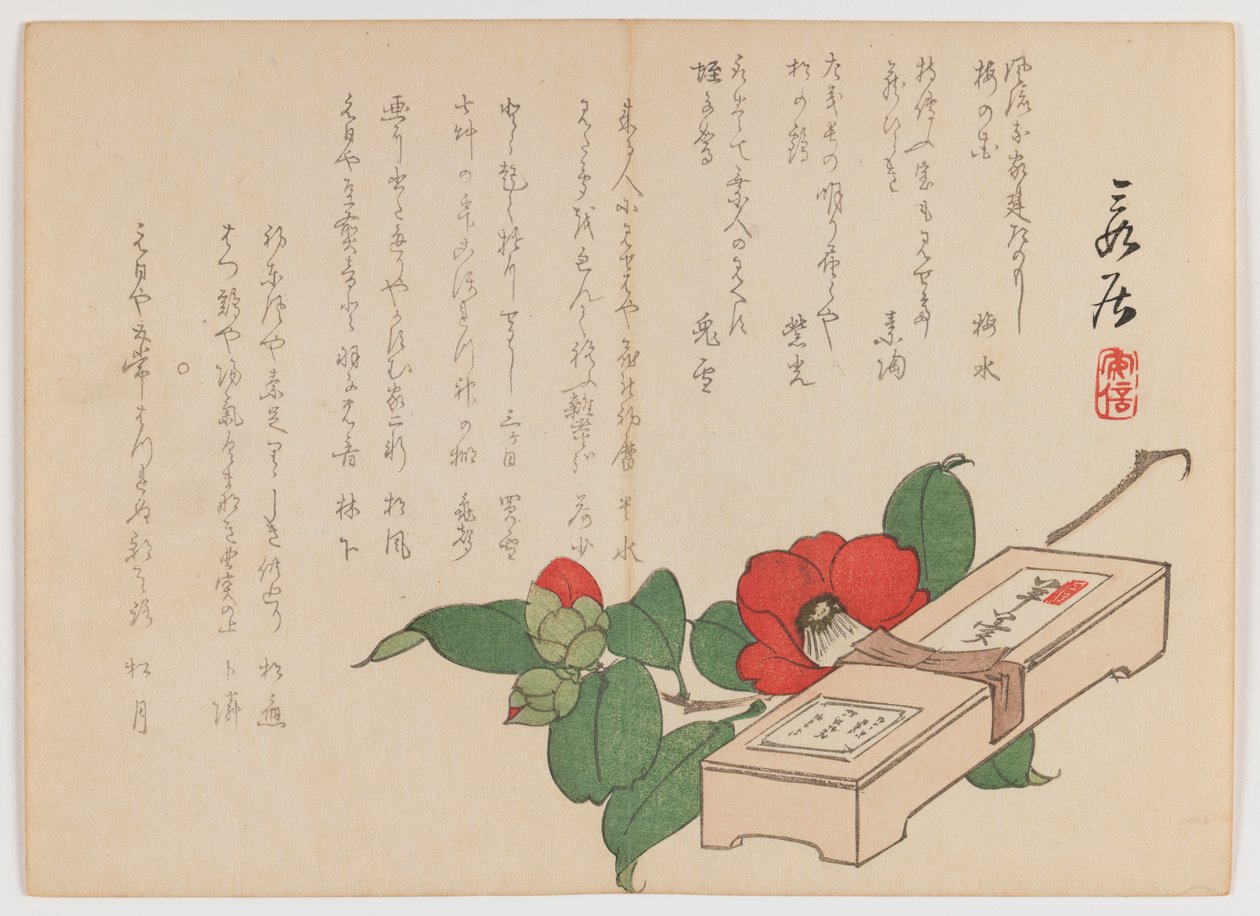 Kamelia makeislaatikolla (Yokan), n. 1860 (puupainatus; vaakasuora Chûban yoko-e -muoto) tekijältä Hanzan Matsukawa