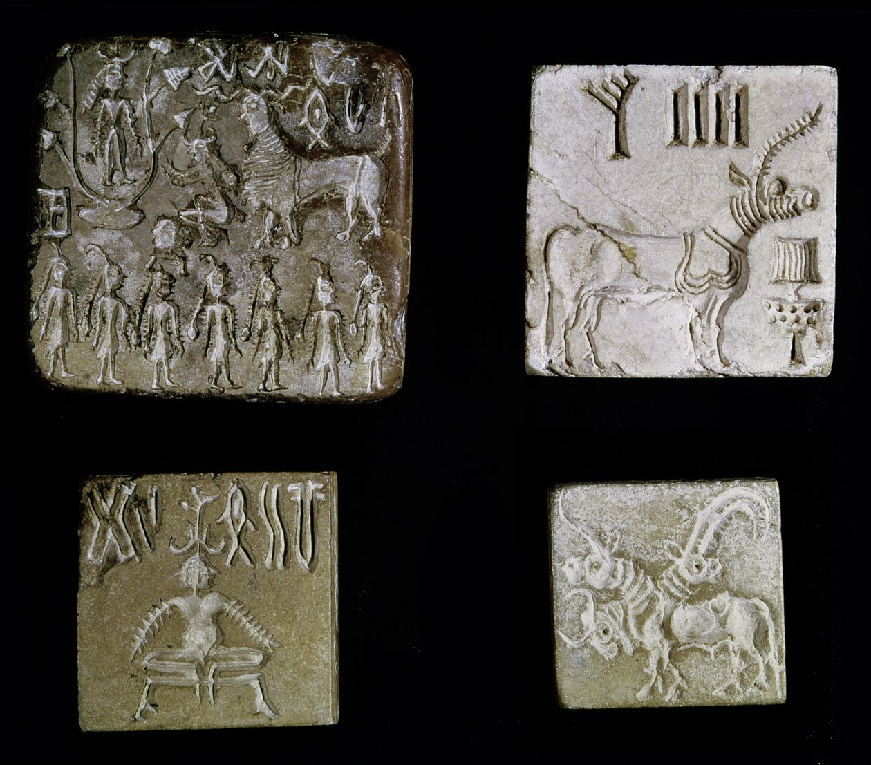 Neljä mytologisia eläimiä kuvaavaa sinettiä Mohenjo-Darosta, Indus-laaksosta Pakistanista, 3000-1500 eaa. tekijältä Harappan