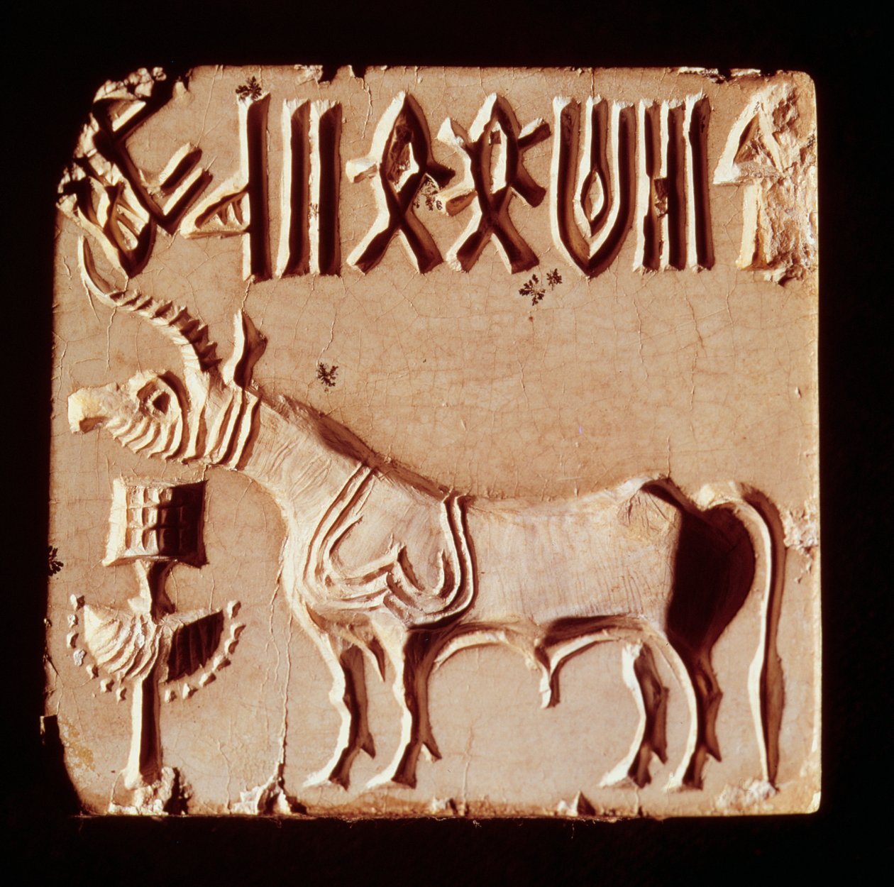 Mytologista eläintä ja kuvallisia symboleja kuvaava sinetti Mohenjo-Darosta, Indus-laaksosta Pakistanista, 3000-1500 eaa. tekijältä Harappan
