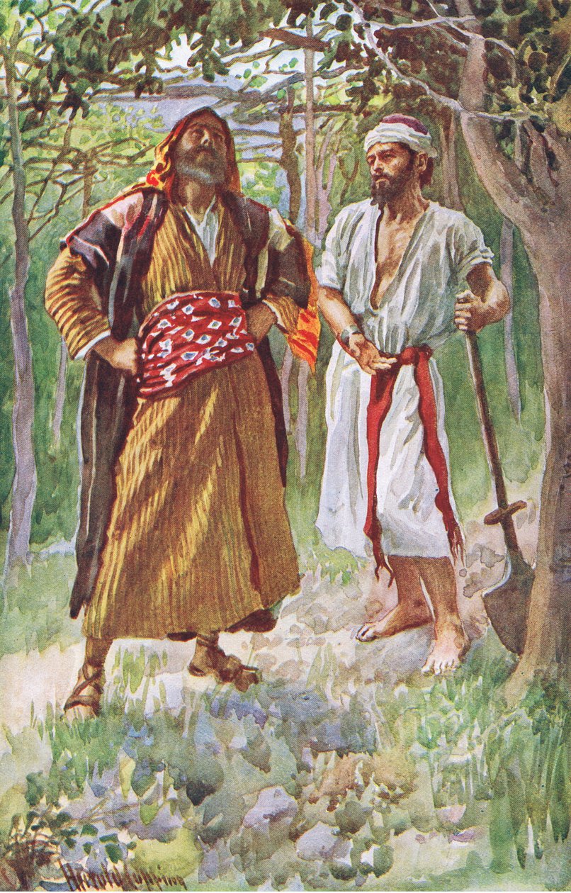 Karu viikunapuu, kuvitus Harold Copping Pictures: The Crown -sarjasta, noin 1920-luku tekijältä Harold Copping