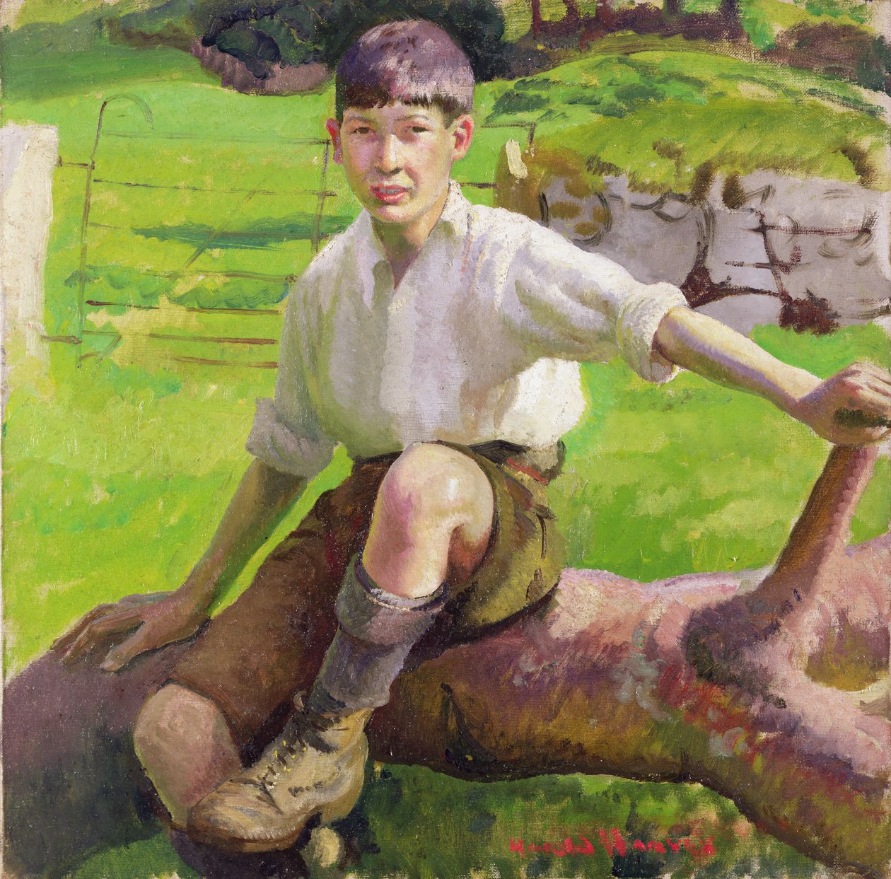 Cornish Boy (öljy kankaalle) tekijältä Harold Harvey