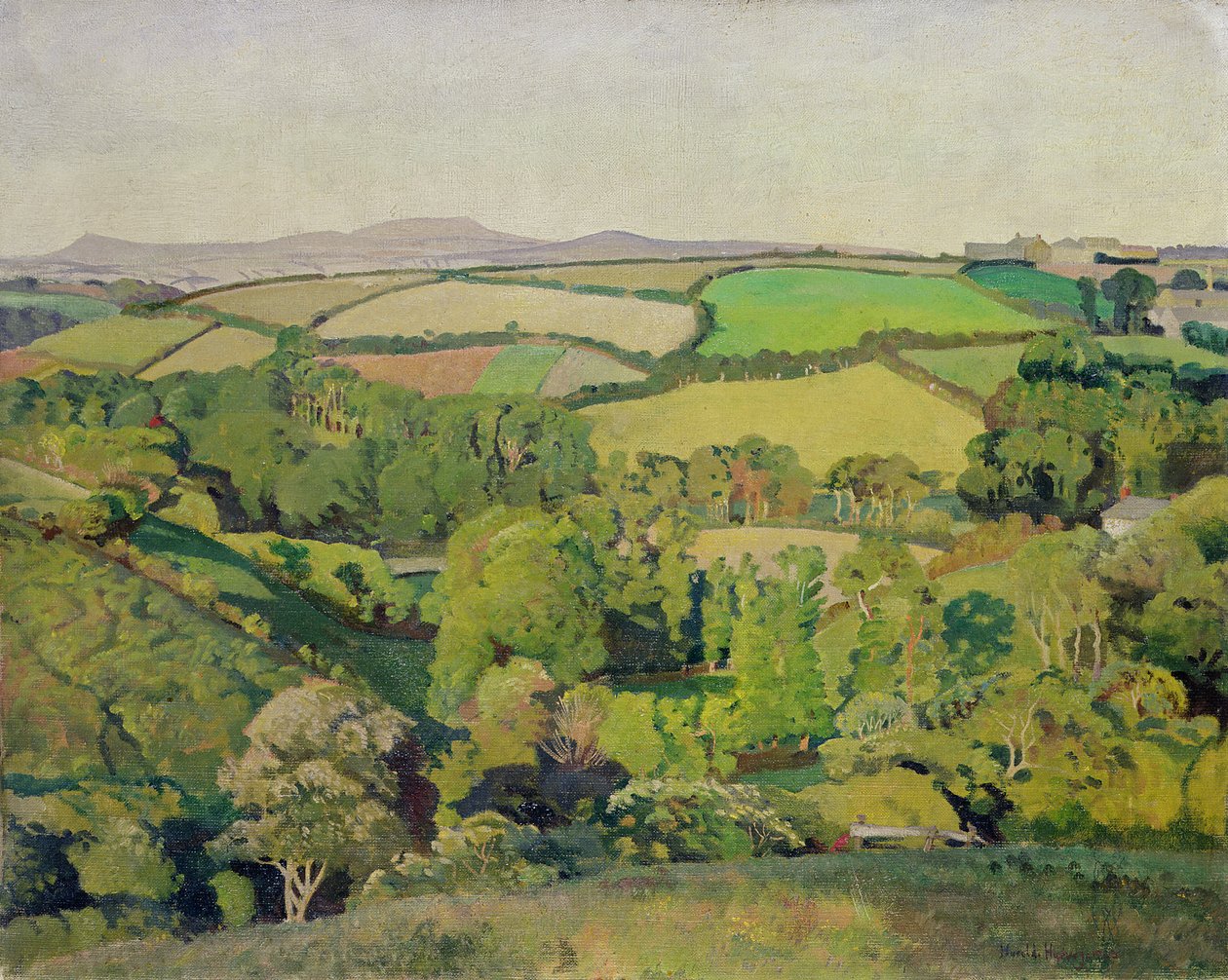 Drift Valley (öljy kankaalle) tekijältä Harold Harvey