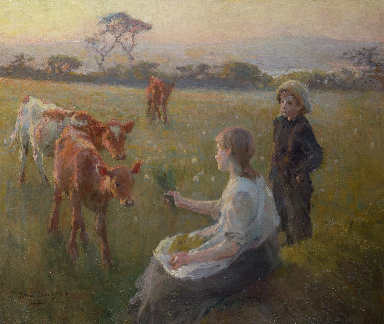 Vasikoiden ruokinta tekijältä Harold Harvey