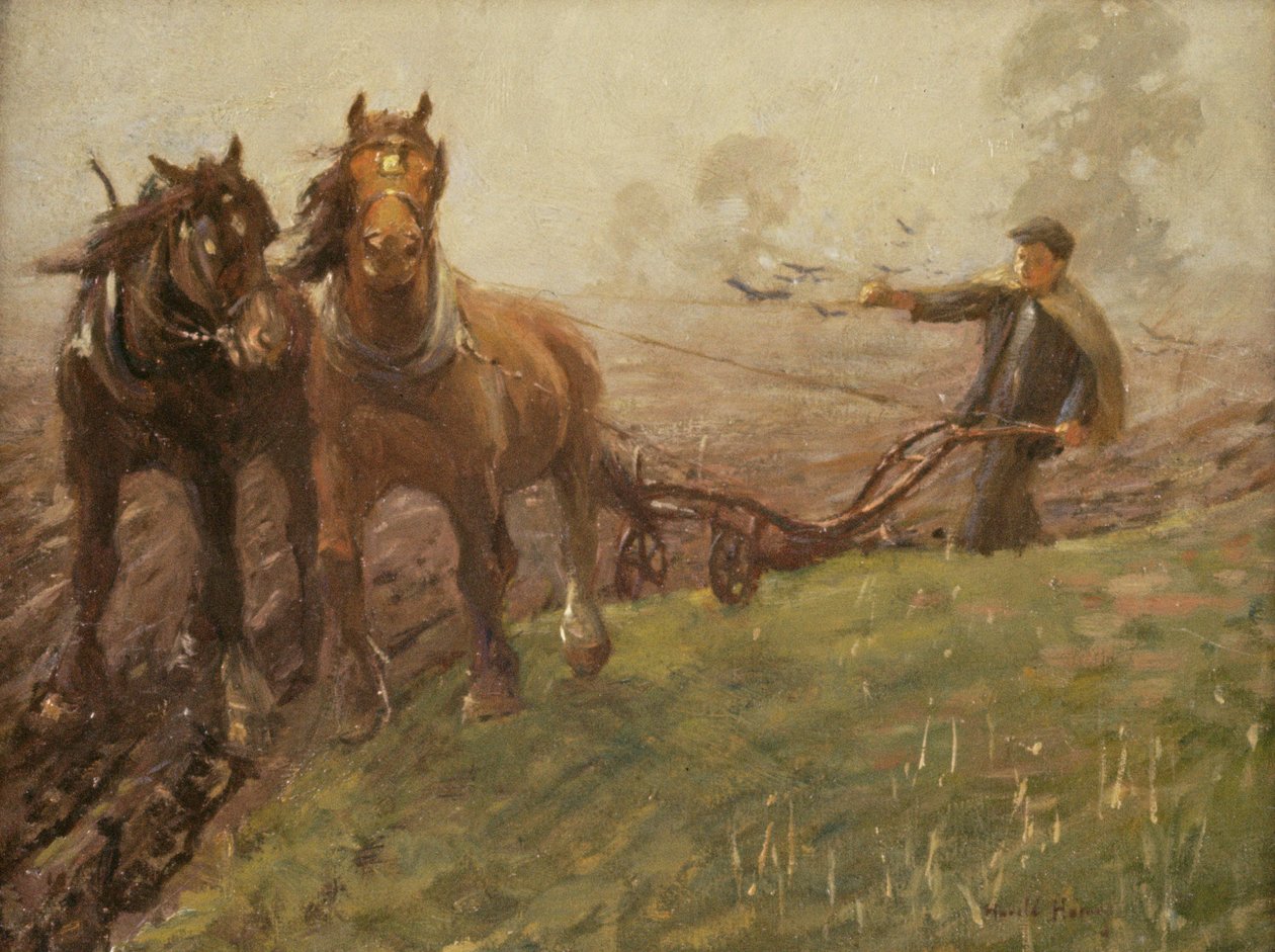 Mies kyntämässä peltoa tekijältä Harold Harvey