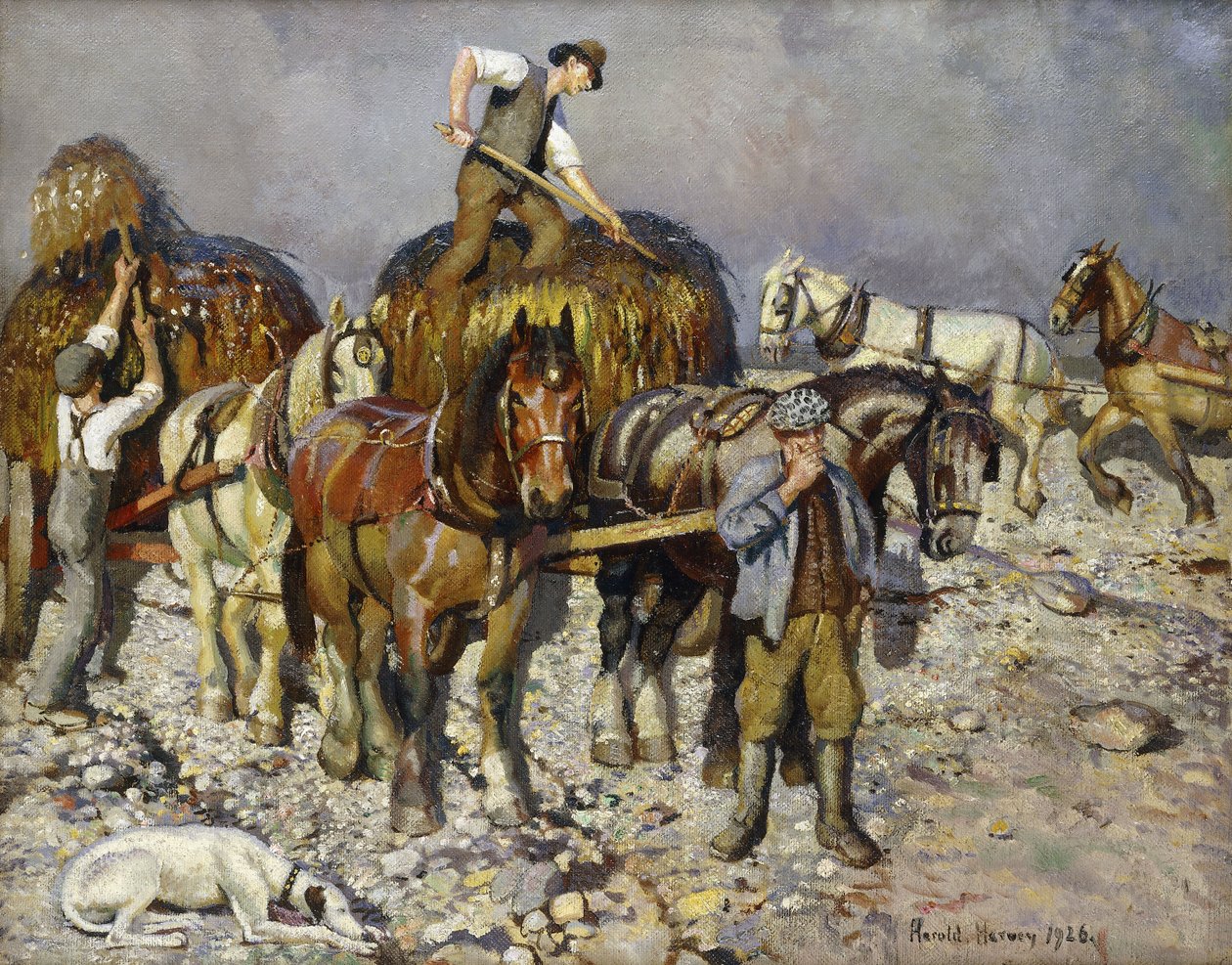 Merilevän keräilijät tekijältä Harold Harvey
