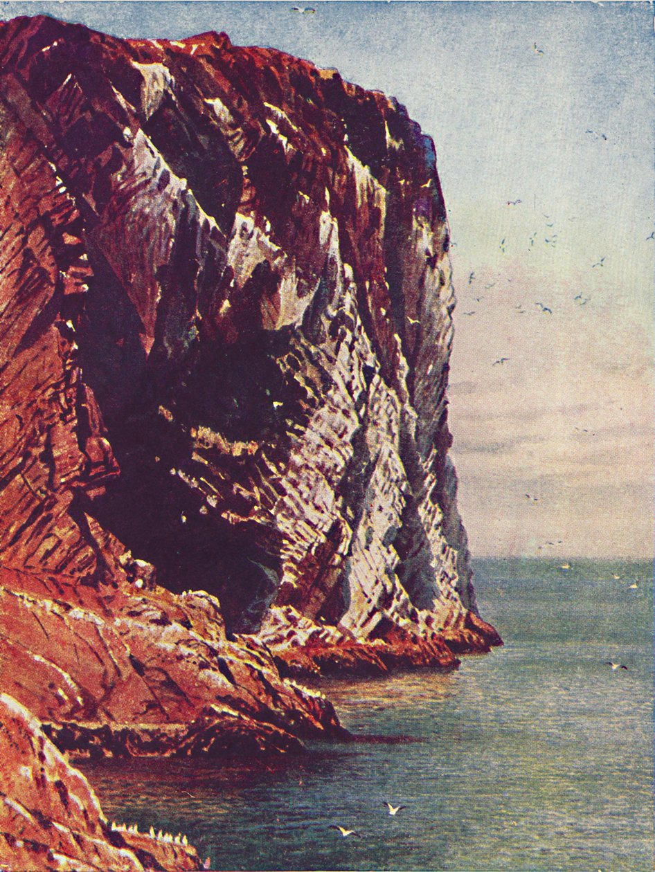 Bass Rock, 1910 tekijältä Harold Sutton Palmer