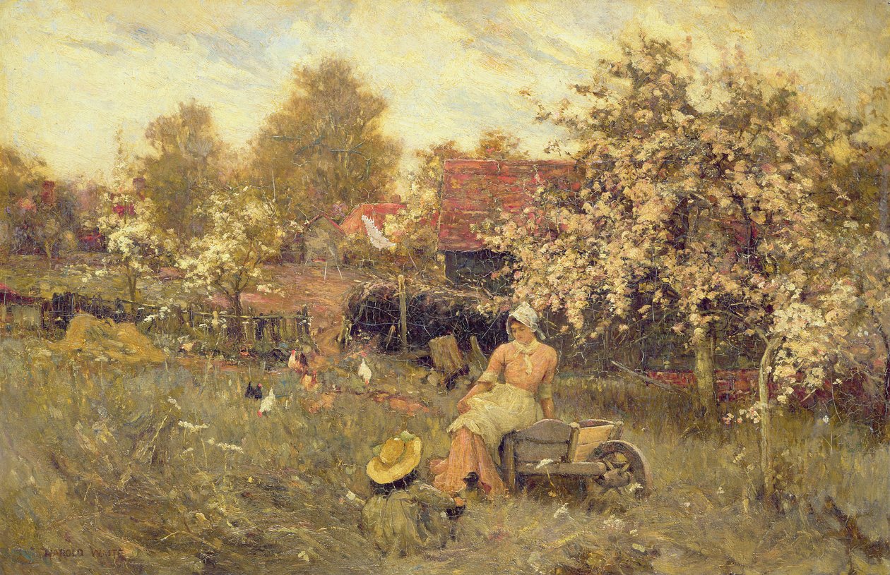 Orchardissa tekijältä Harold Waite