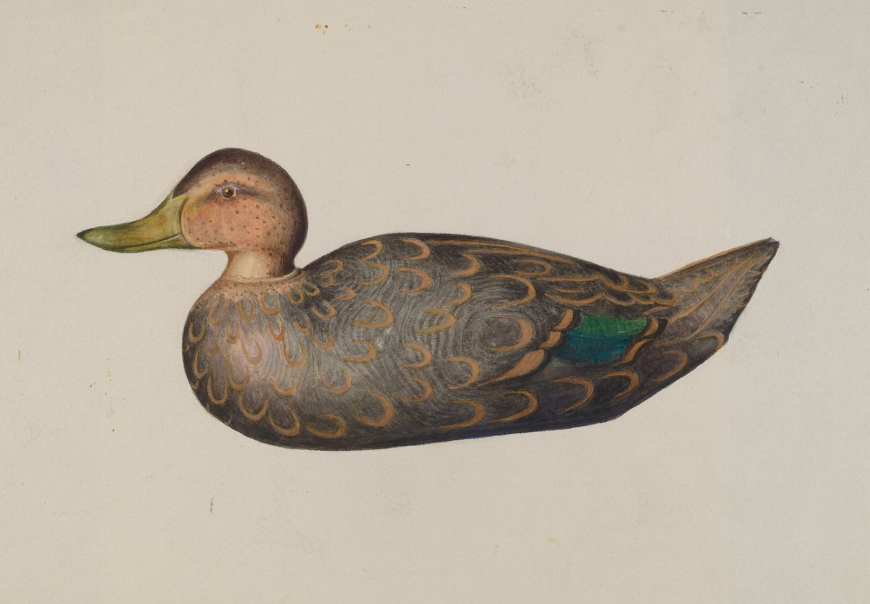 Decoy Duck tekijältä Harriette Gale