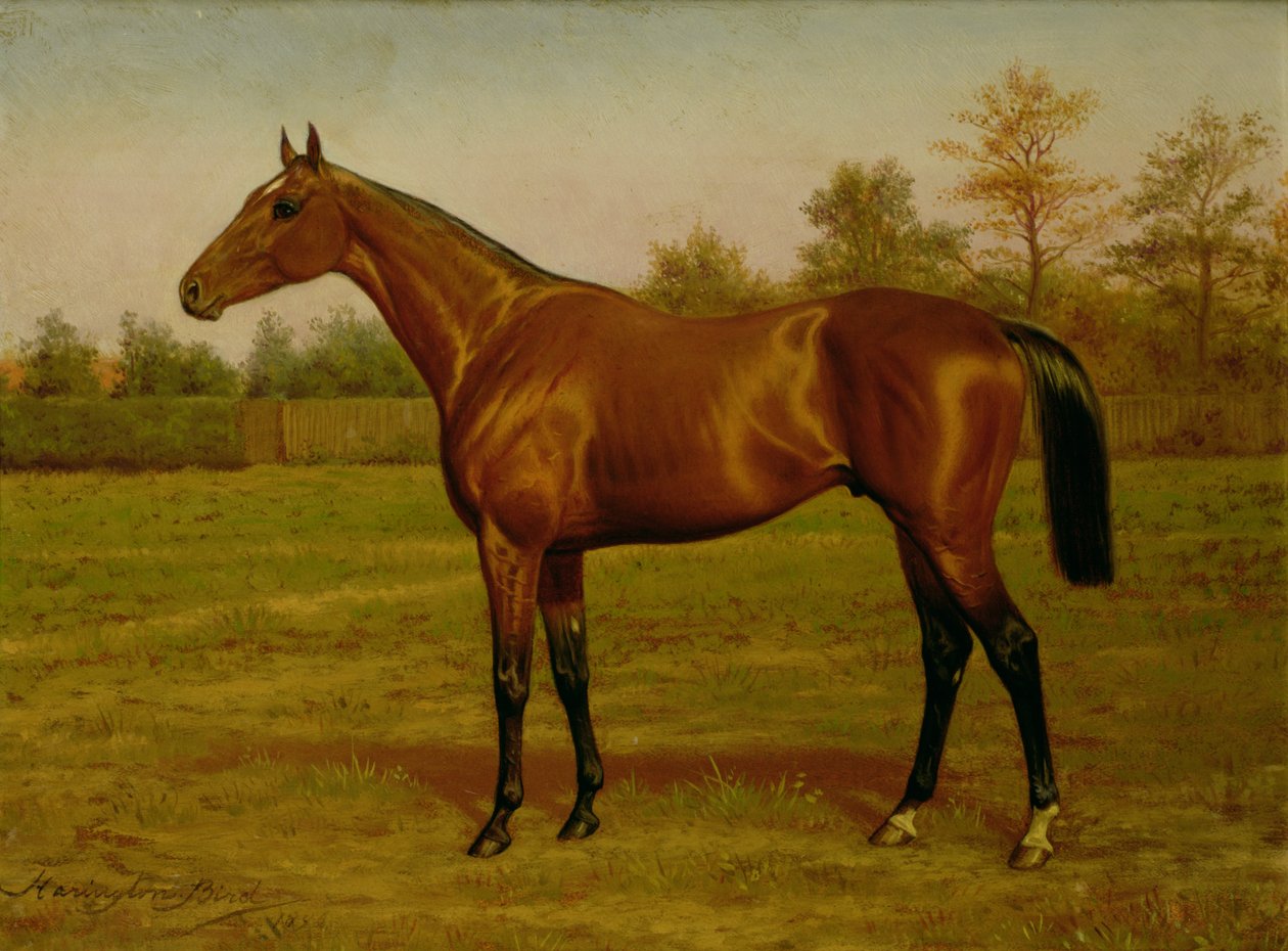 Isinglass, Triple Crown, 1893 tekijältä Harrington Bird