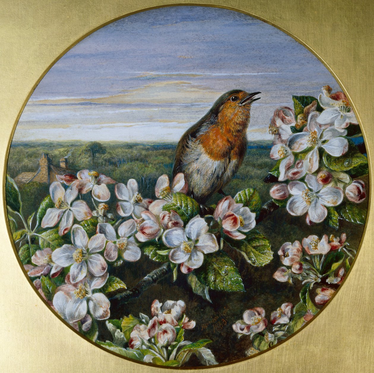 Un Robin entre Blossomfinnish tekijältä Harrison William Weir