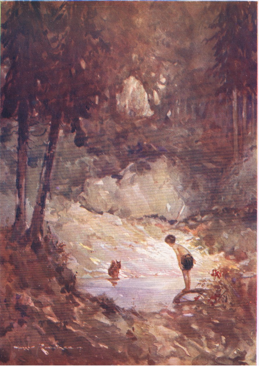 "Voit yhtä hyvin hypätä sisään nyt", sanoi orava Gilbertille (The Forest Foundlingista) (väri litho) tekijältä Harry Rountree