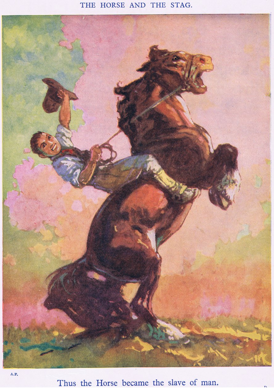 Näin hevosesta tuli ihmisen orja (hevosesta ja polttarista) tekijältä Harry (1878 1950) Rountree