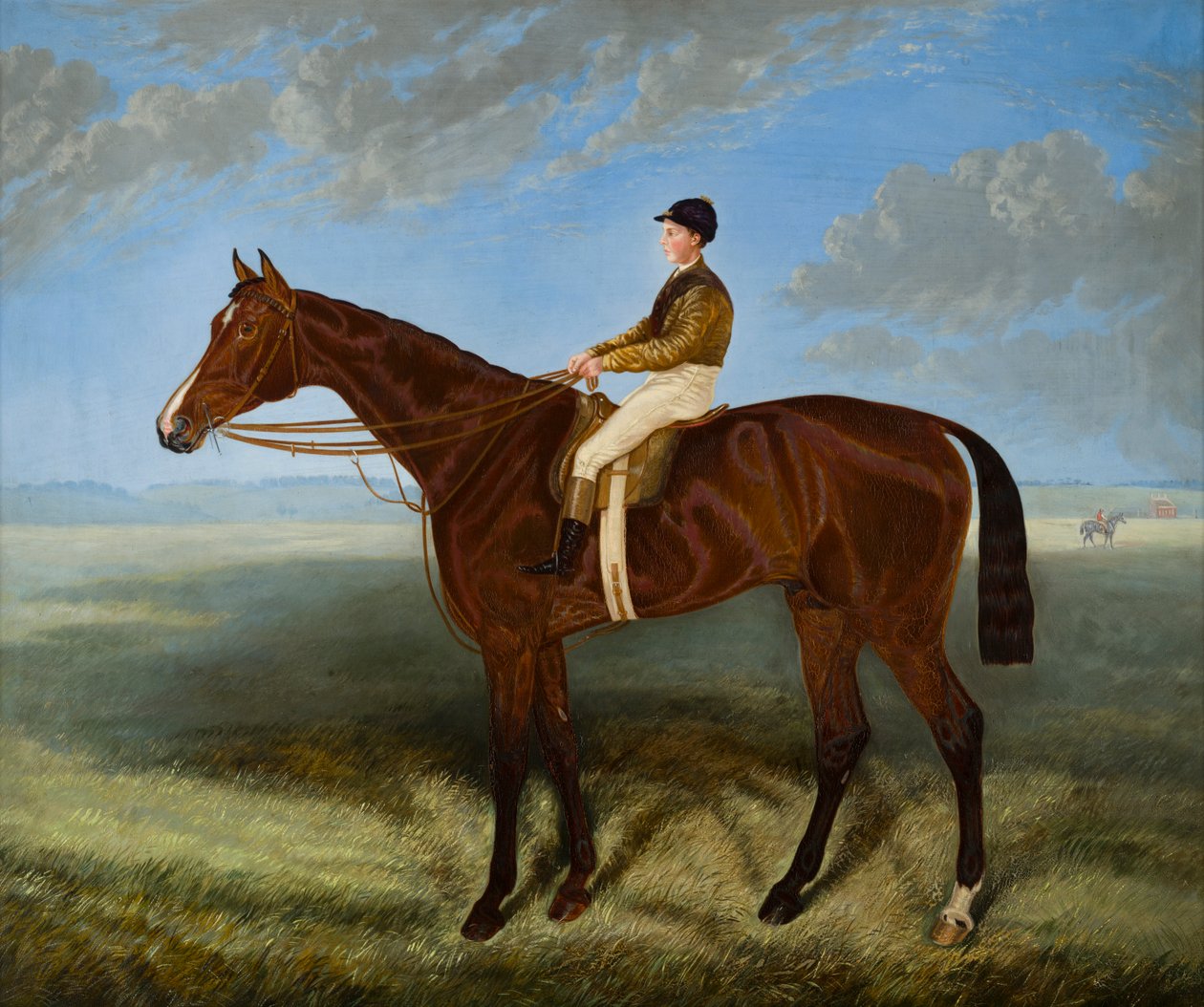 Salpinctes-a Race Horse, n. 1814-82 (öljy kankaalle) tekijältä Harry (after) Hall