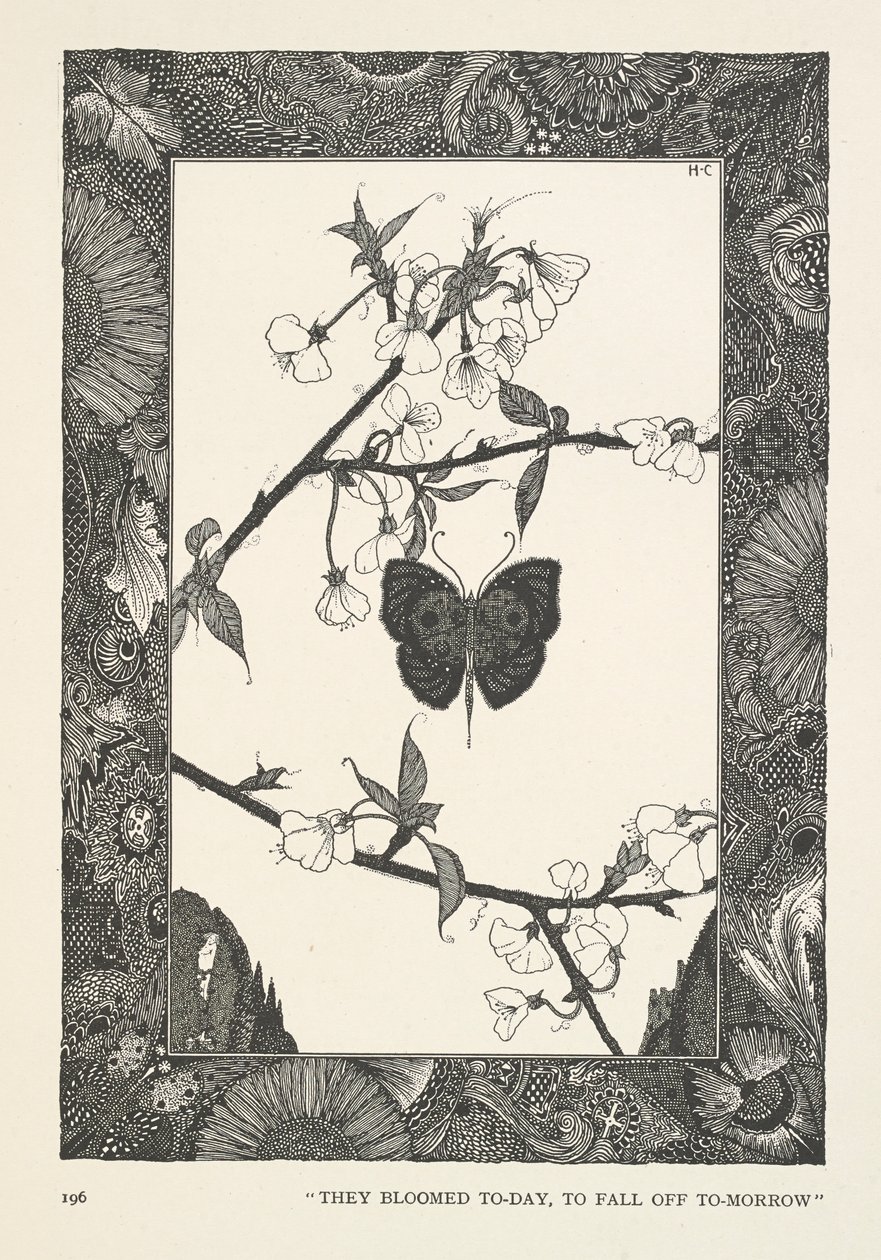 Perhonen. Ne kukkivat tänään, putoavat huomenna. tekijältä Harry Clarke