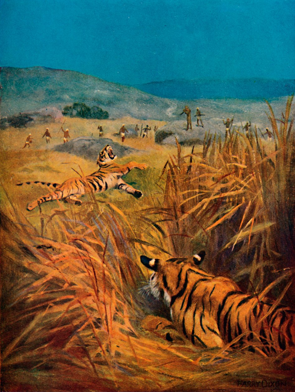 Tigers - Intiaanikylien terrori, 1913 tekijältä Harry Dixon