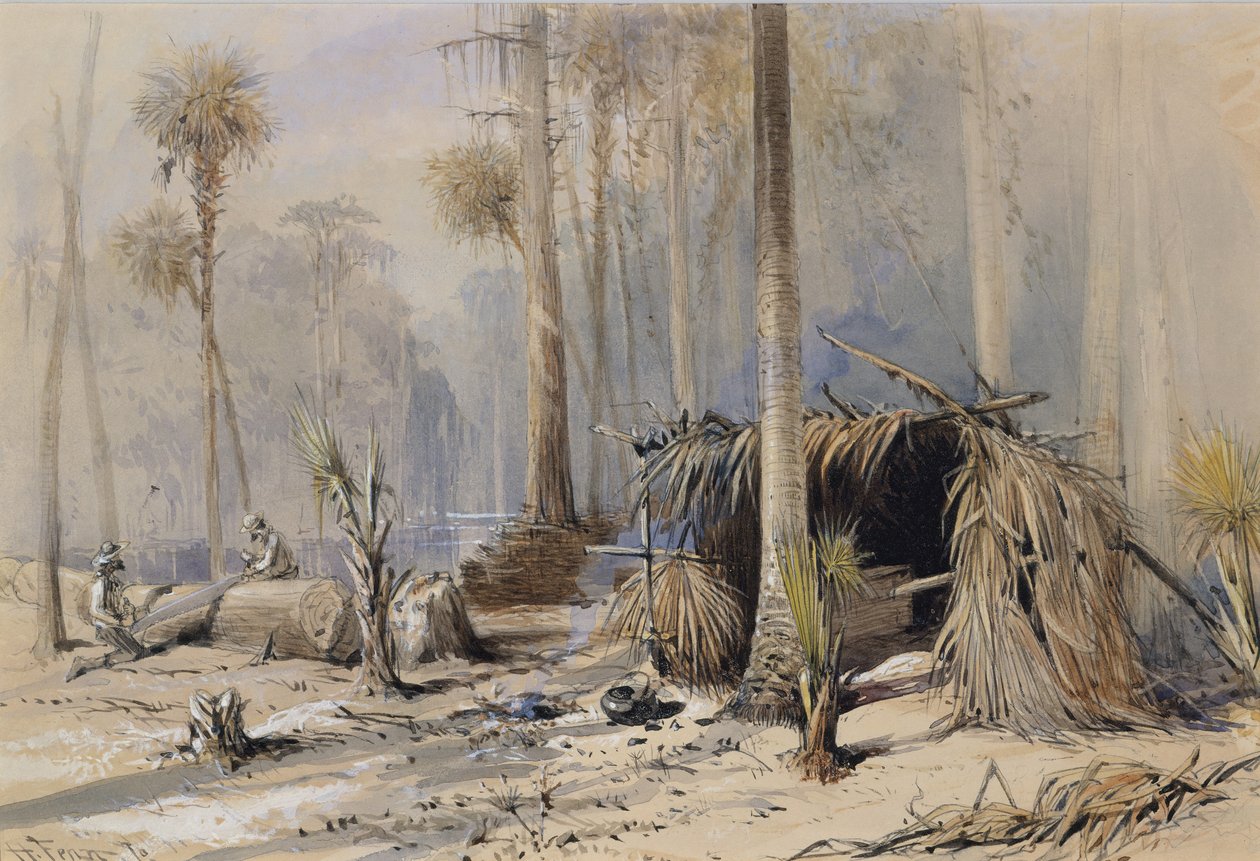 Cypress-Shingle Yard, Ocklawaha River, Florida, 1870. tekijältä Harry Fenn