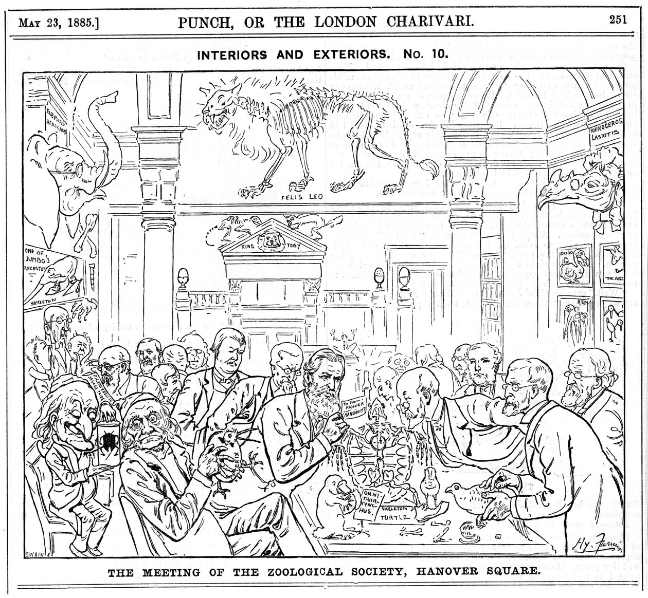 Royal Zoological Societyn kokous, Hanover Square, Lontoo, 1885 tekijältä Harry Furniss