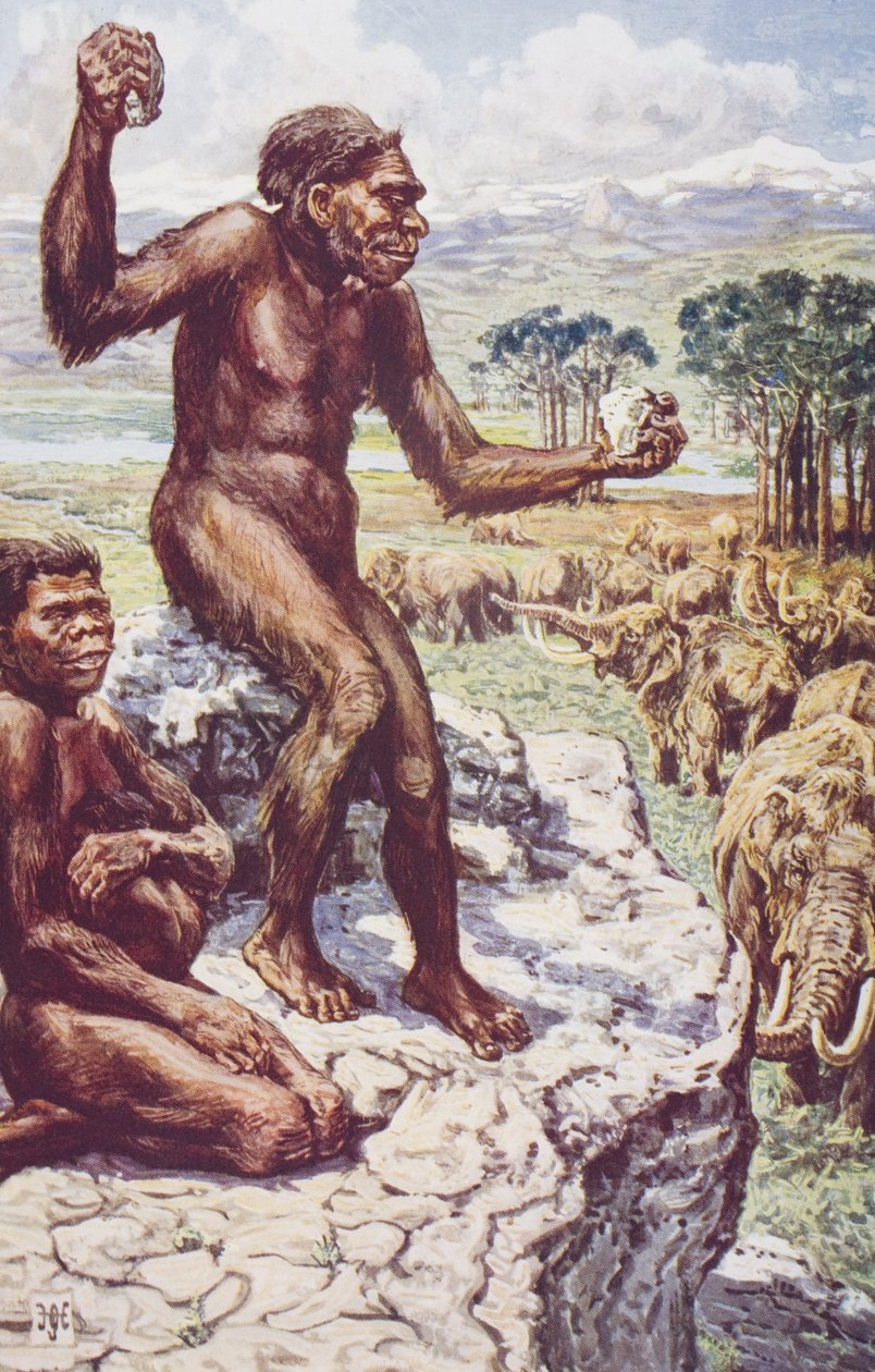 Neanderthal Mankind, kuvitus H.G. Wellsin teoksesta "The Outline of History", osa I, julkaistu vuonna 1920 (värilitho) tekijältä Harry Hamilton (after) Johnston