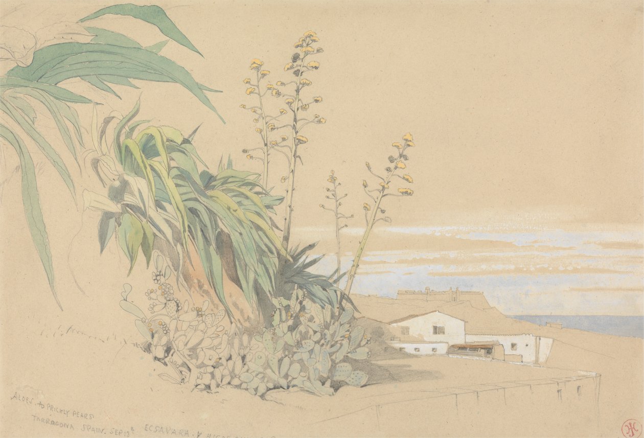 Aloe ja viikunapäärynät, Tarragona, Espanja tekijältä Harry John Johnson