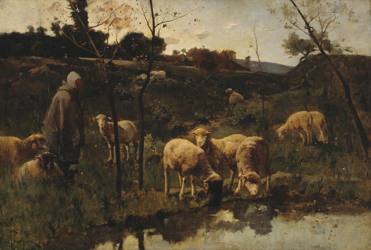 Maisema lampaiden kanssa, Picardie, 1800-luvun loppu. tekijältä Harry Thompson