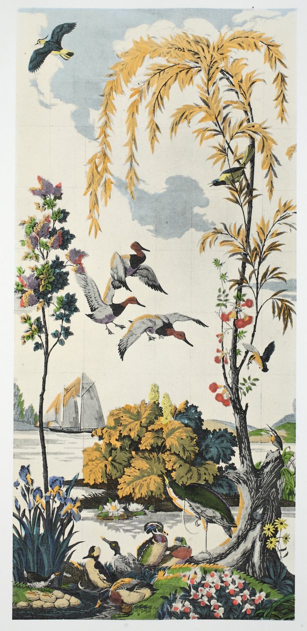 Magnum Opus: Canvasbacks, pubi. 1933 tekijältä Harry Wearne