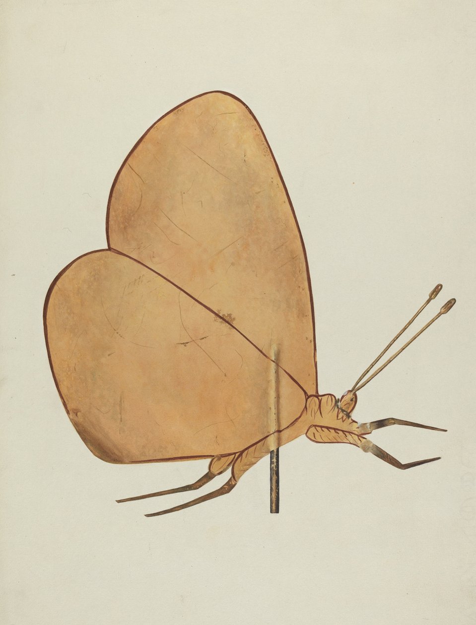 Perhonen tuuliviiri, c. 1938. tekijältä Hazel Hyde